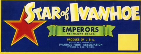 Star of Ivanhoe
